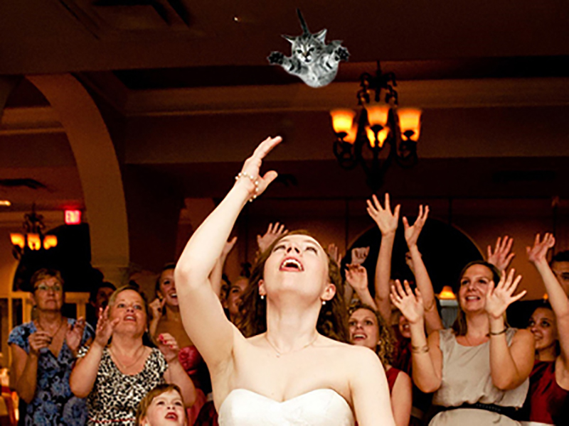 Brides Throwing Cats