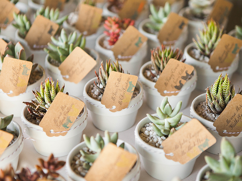 Escort Cards