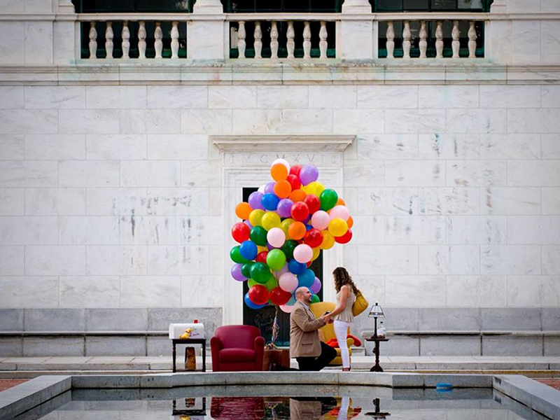 The Proposal Ideas