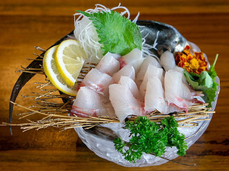 Shima Aji Sashimi