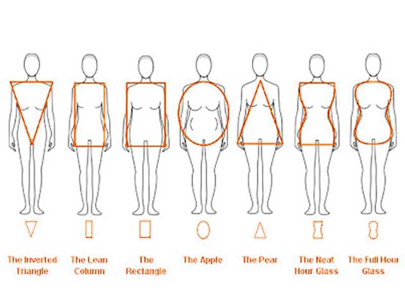 Body Shape Chart