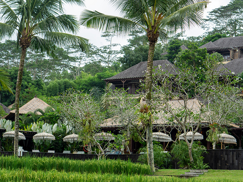 Mandapa, a Ritz-Carlton Reserve Paddy Field