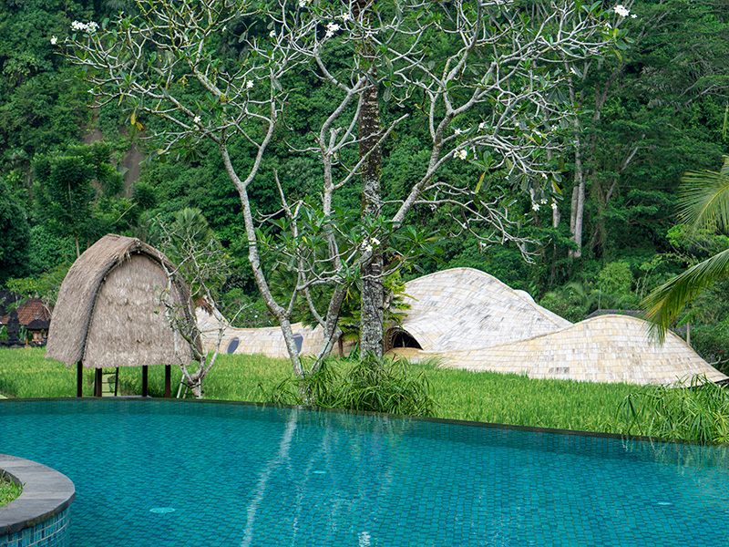 Mandapa, a Ritz-Carlton Reserve Main Pool