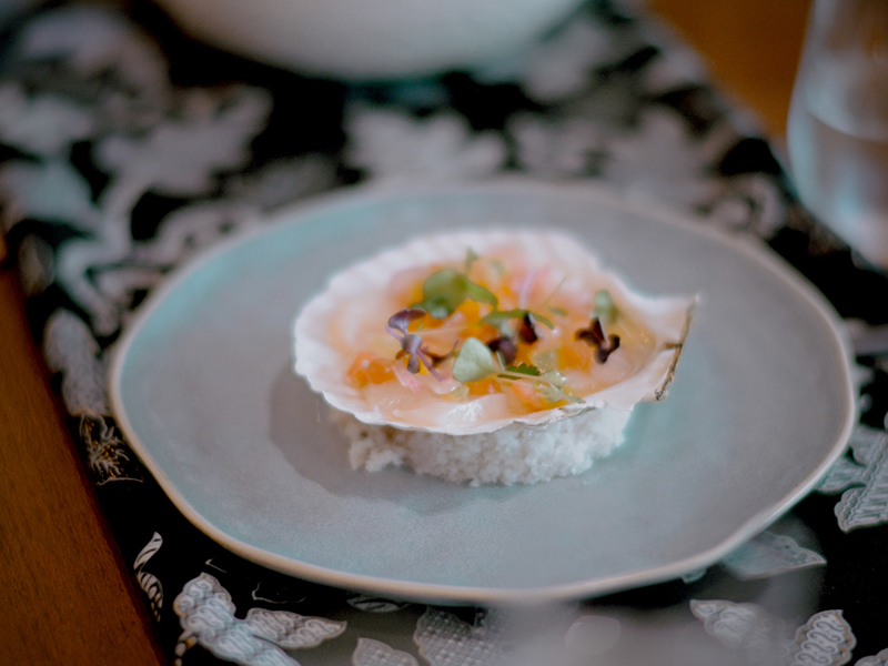 Japanese Scallop in The Shell