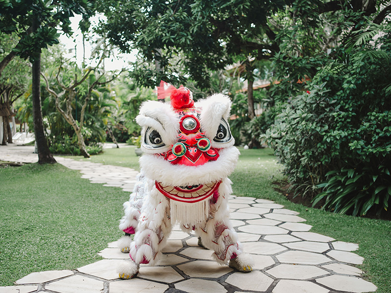 Lion Dance Ritual