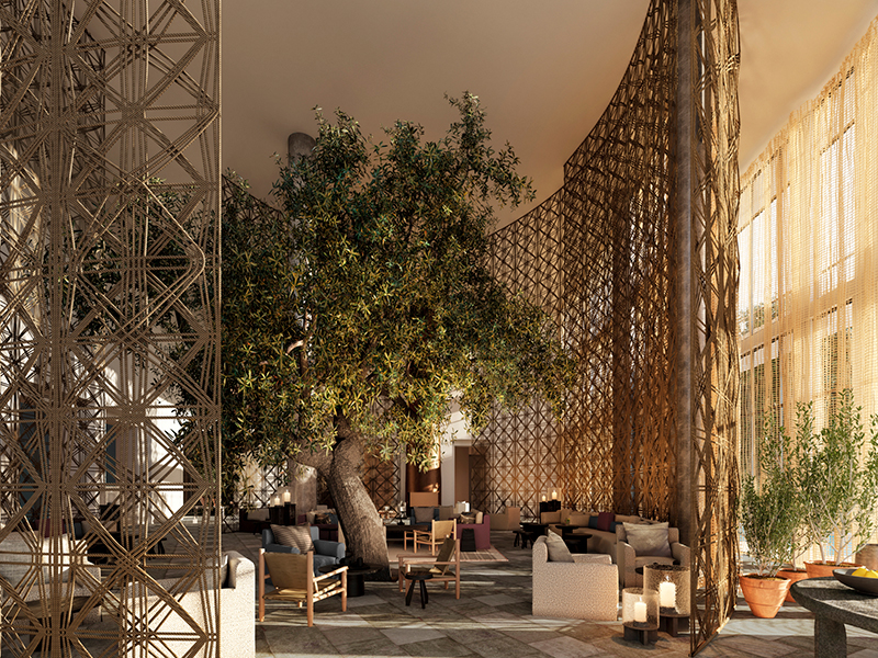 Janu Montenegro Lobby