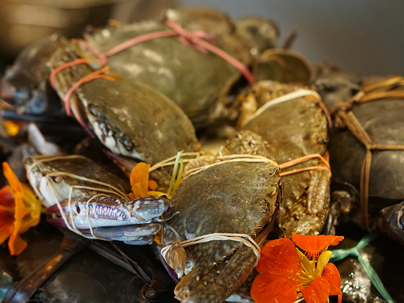 Brunch Fresh Crab
